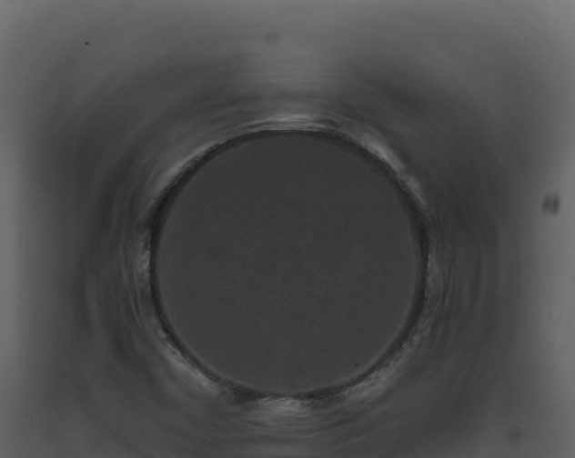 X0000093481450200710191156