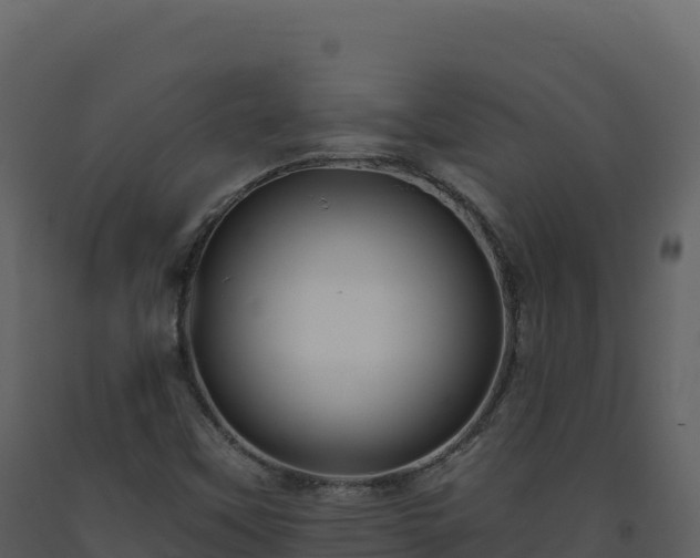 X0000093481451200710191156