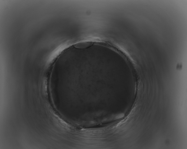 X0000093481455200710191156