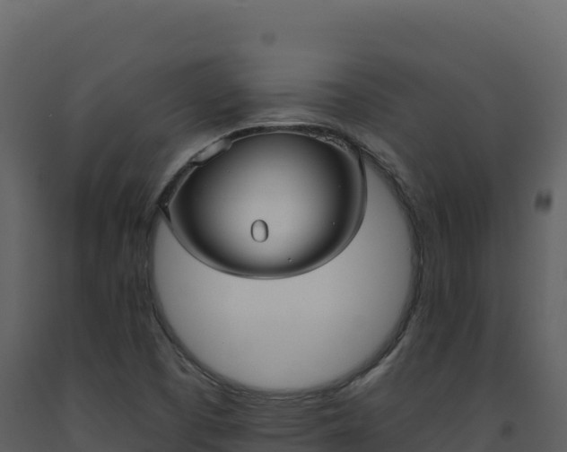 X0000093481457200710191156