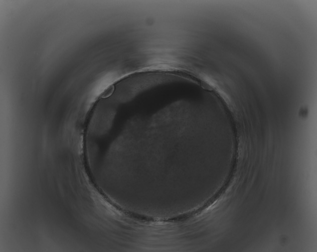 X0000093481459200710191156