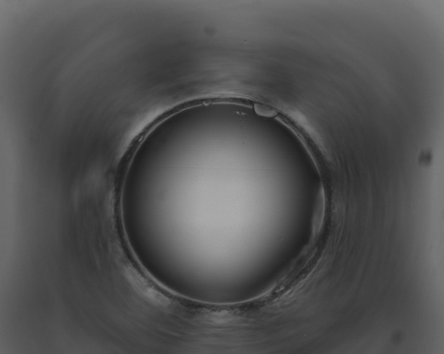 X0000093481460200710191156