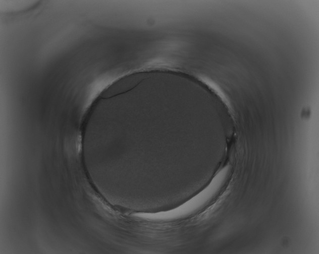X0000093481461200710191156