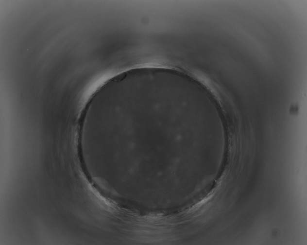 X0000093481463200710191156