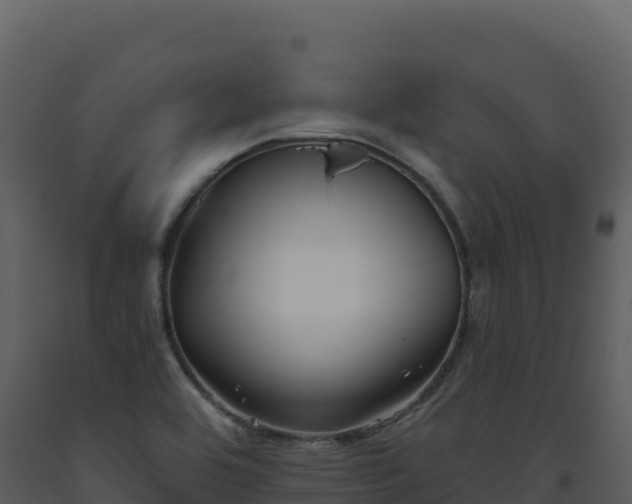 X0000093481464200710191156