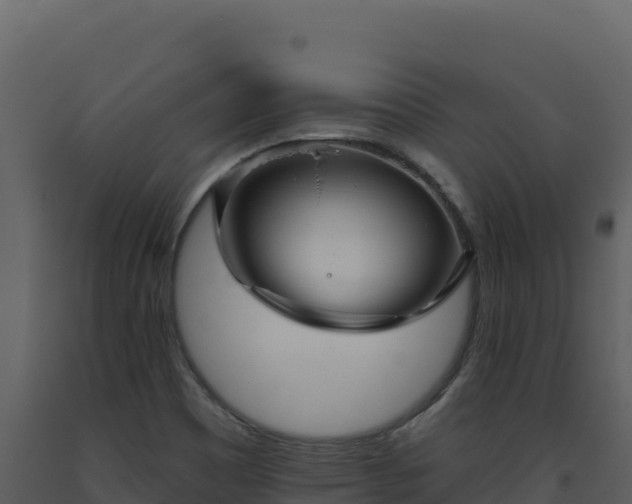 X0000093481465200710191156
