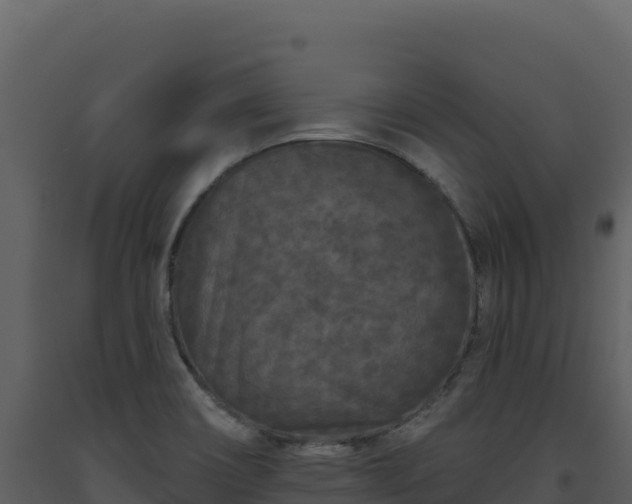 X0000093481466200710191156