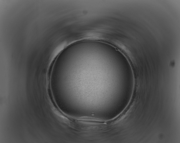 X0000093481467200710191156