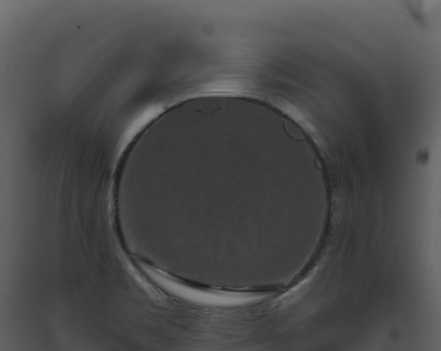 X0000093481469200710191156