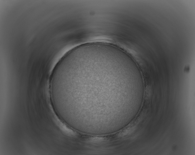 X0000093481470200710191156
