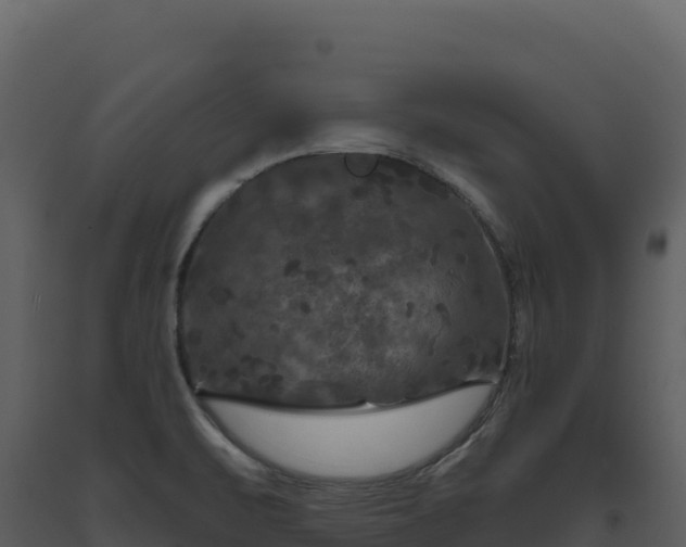 X0000093481471200710191156