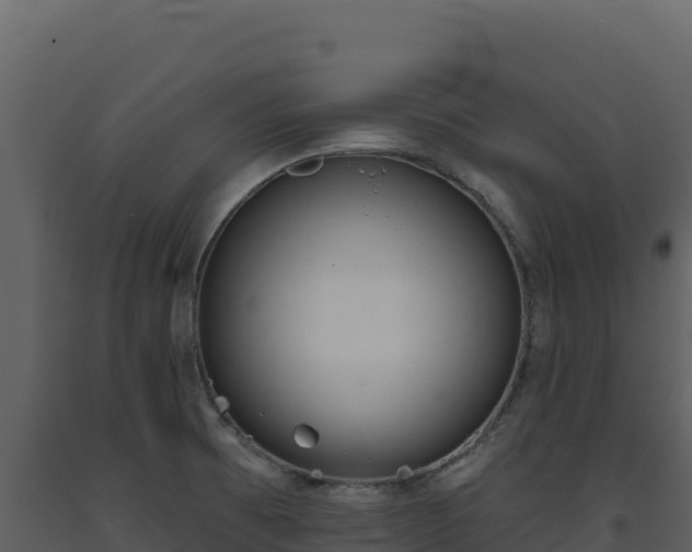 X0000093481473200710191156
