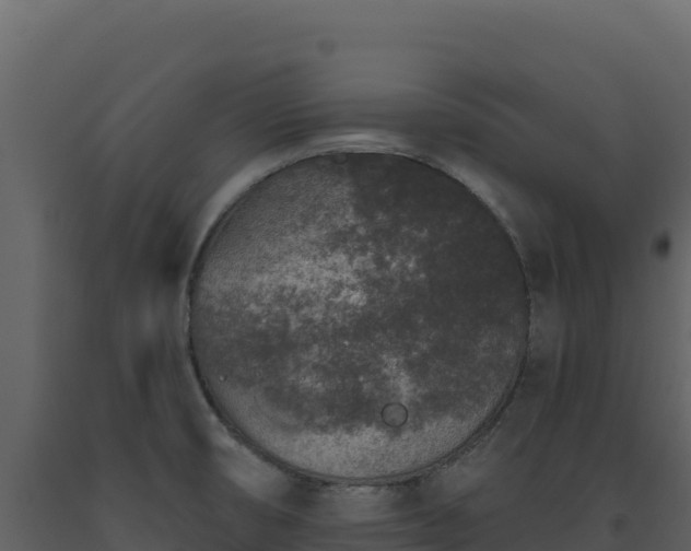 X0000093481474200710191156