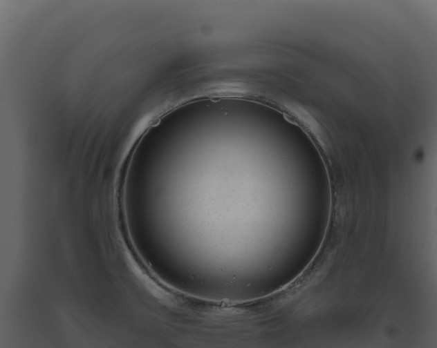 X0000093481475200710191156