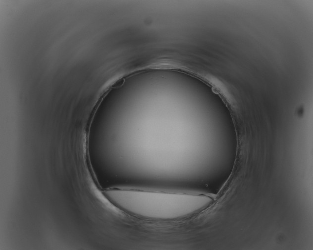 X0000093481476200710191156