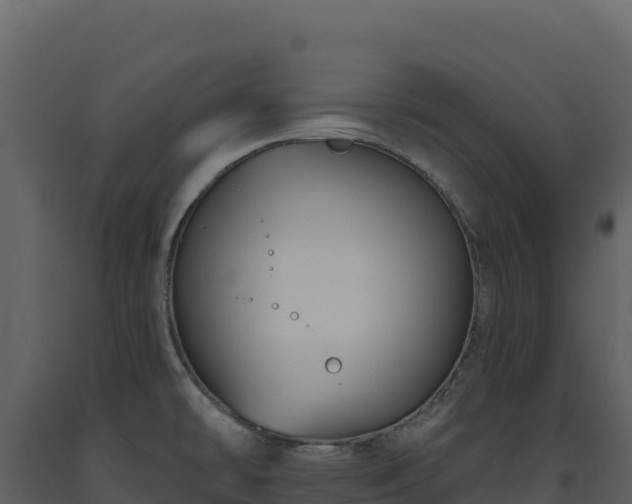 X0000093481478200710191156