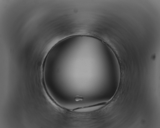 X0000093481479200710191156