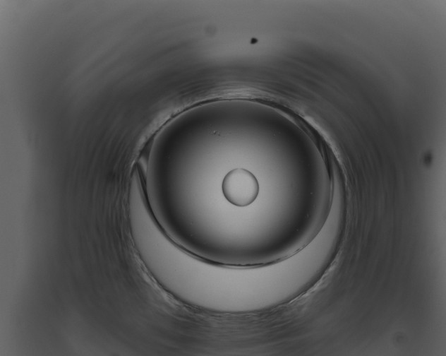 X0000093481481200710191156