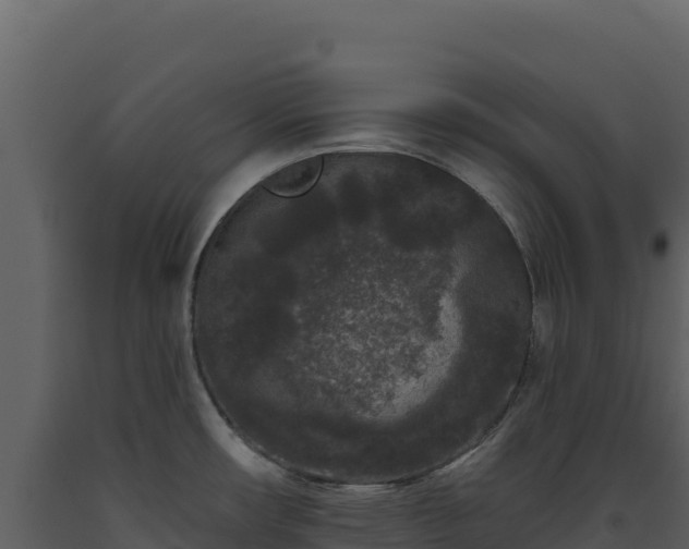 X0000093481482200710191156