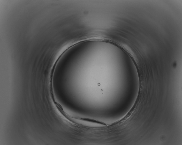 X0000093481483200710191156
