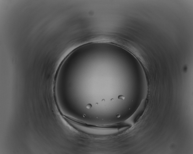 X0000093481484200710191156