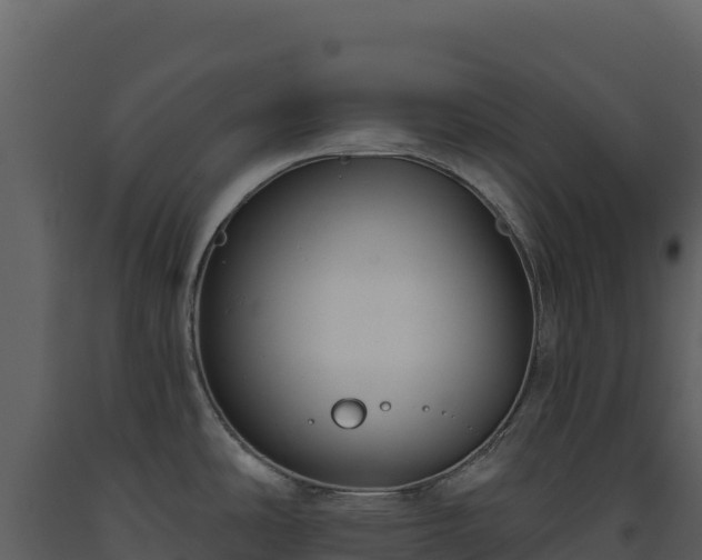 X0000093481486200710191156