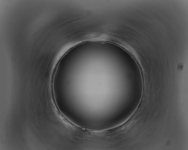 X0000093481488200710191156
