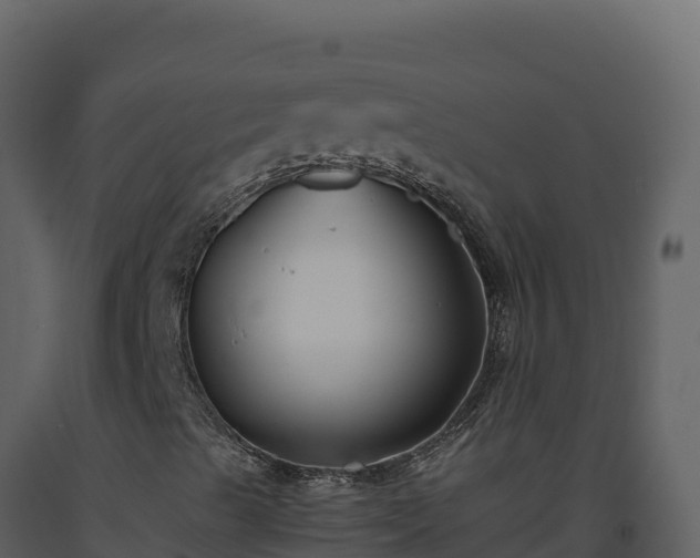 X0000093481489200710191155