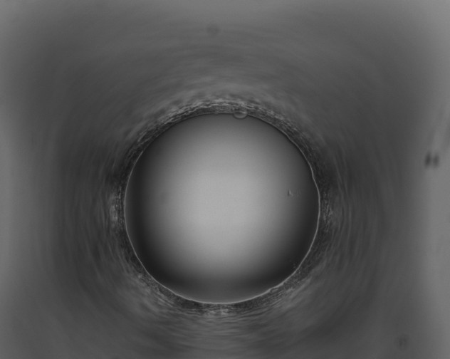 X0000093481490200710191155