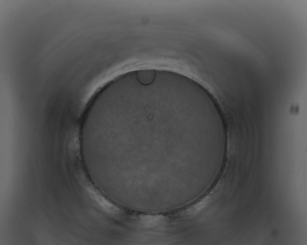 X0000093481498200710191155