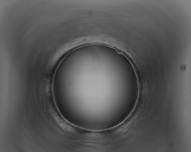 X0000093481499200710191155