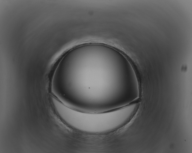X0000093481502200710191155