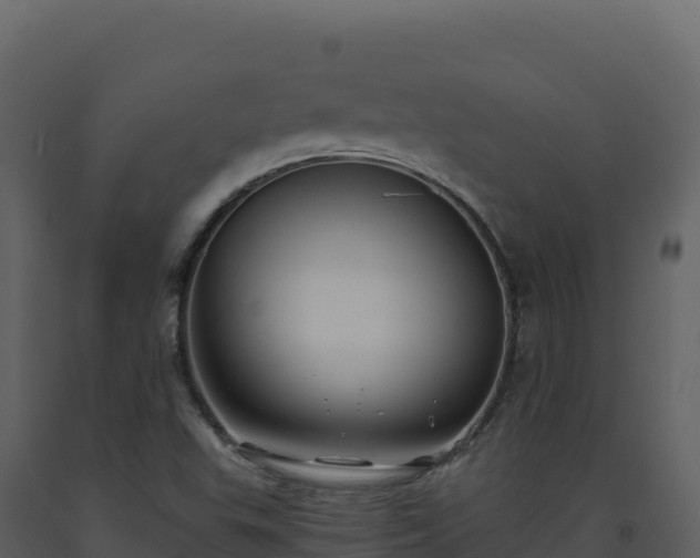X0000093481503200710191155