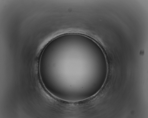 X0000093481504200710191155