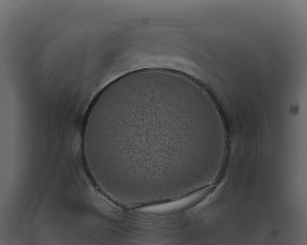 X0000093481505200710191155