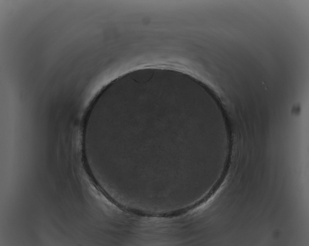 X0000093481506200710191155