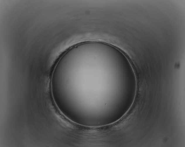 X0000093481507200710191155