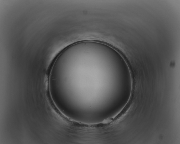 X0000093481509200710191155
