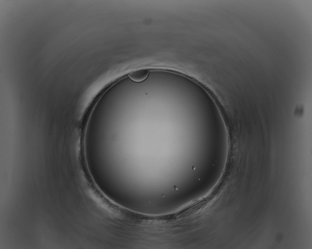 X0000093481511200710191155