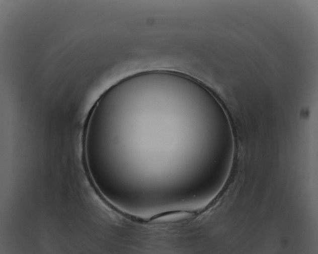 X0000093481512200710191155