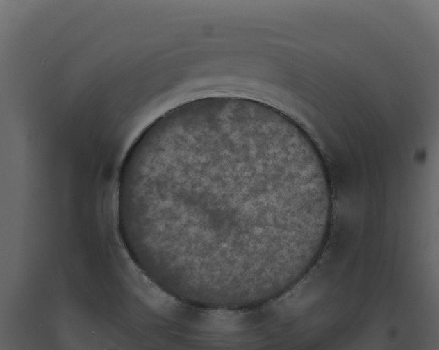 X0000093481514200710191155