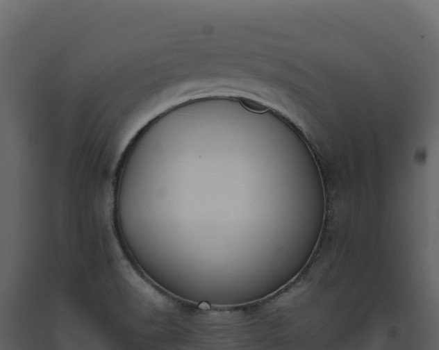 X0000093481518200710191155