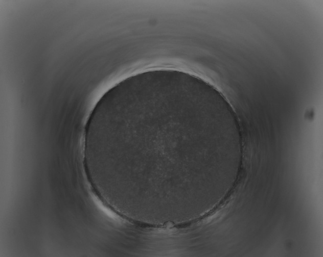 X0000093481519200710191155