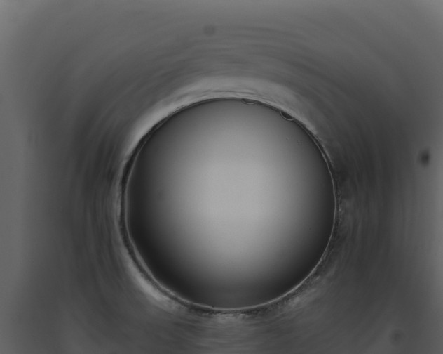 X0000093481523200710191155