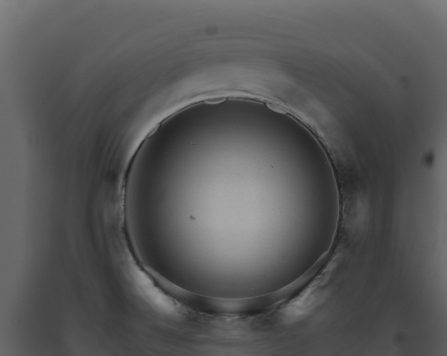 X0000093481524200710191155
