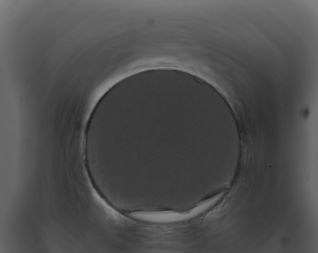 X0000093481527200710191155