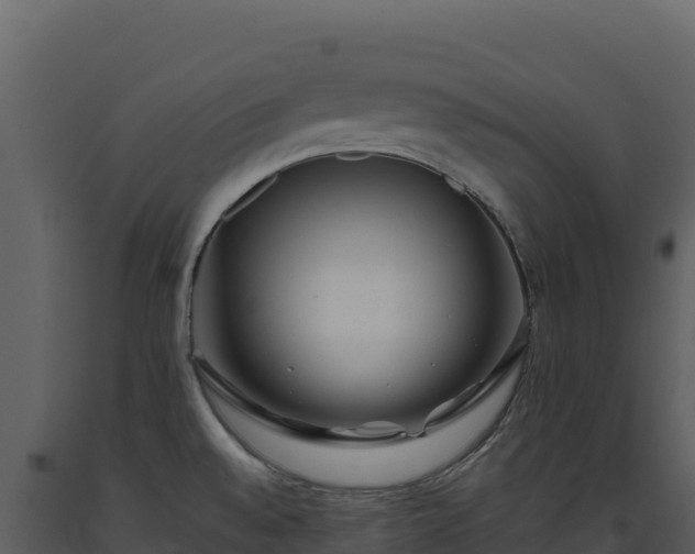 X0000093481528200710191156