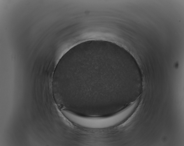 X0000093481529200710191156