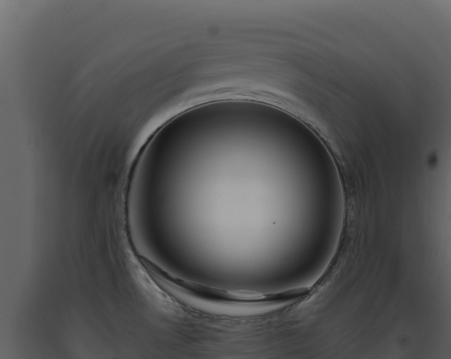 X0000093481530200710191156
