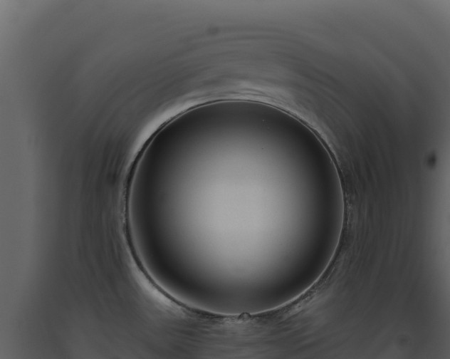 X0000093481531200710191156
